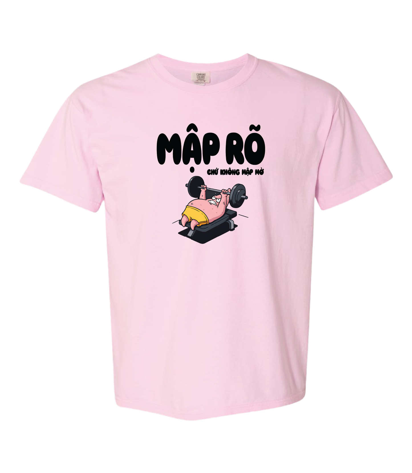 Map Ro Vietnamese Workout Pig Shirt